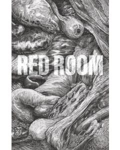 RED ROOM #2 CVR B NIXEY VAR 2021