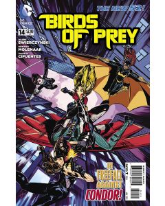 BIRDS OF PREY 2012 #14