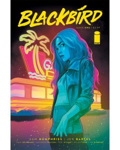 BLACKBIRD #1 CVR B STAPLES