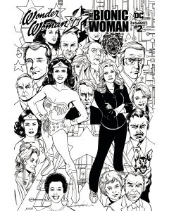 WONDER WOMAN 77 BIONIC WOMAN #2 (OF 6) CVR D 25 COPY INCV 2017