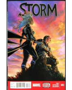 STORM #3 2014