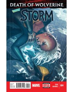 STORM #4 2014
