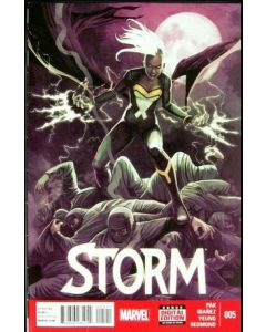 STORM #5 2014