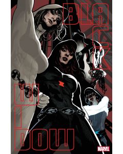 BLACK WIDOW #12