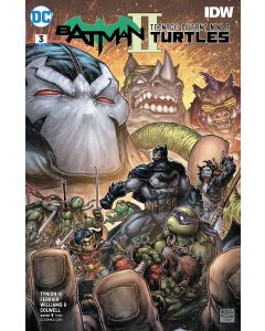 BATMAN TEENAGE MUTANT NINJA TURTLES II #3
