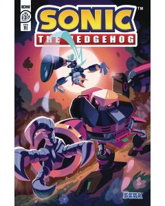 SONIC THE HEDGEHOG ANNUAL 2022 CVR C 10 COPY INCV