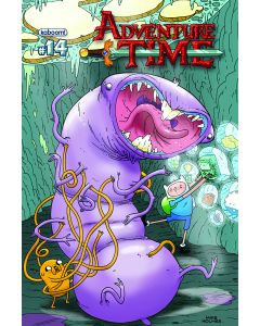 ADVENTURE TIME #14 MAIN CVR 2013
