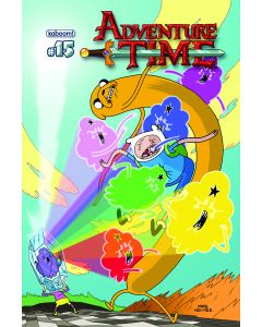 ADVENTURE TIME #15 MAIN CVR 2013