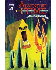 ADVENTURE TIME SUMMER SPECIAL 2013 #1