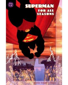 SUPERMAN FOR ALL SEASONS #3