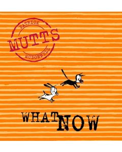WHAT NOW: VOL. 7 2001