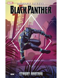 MARVEL ACTION BLACK PANTHER TP BOOK 01 STORMY WEATHER