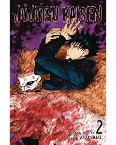 JUJUTSU KAISEN GN VOL 02