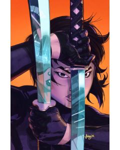 [PREORDER] ABSOLUTE CATWOMAN #6 (ALL IN) FERNANDEZ VAR