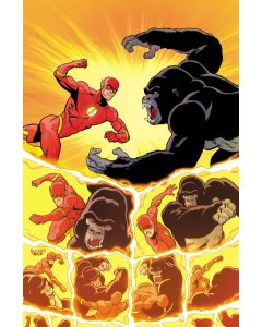 [PREORDER] FLASH #34 (ALL IN)