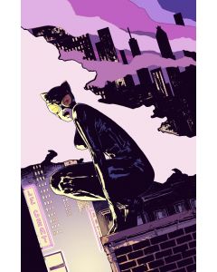 [PREORDER] CATWOMAN #94 (ALL IN) BRAILSFORD VAR
