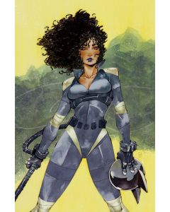 [PREORDER] ABSOLUTE CATWOMAN #3 (ALL IN) HILL VAR