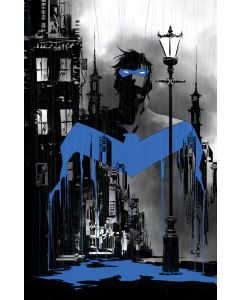 [PREORDER] NIGHTWING #141 (ALL IN) NGUYEN VAR
