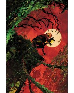 [PREORDER] CATWOMAN #92 (ALL IN)