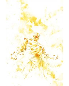 [PREORDER] FURY OF FIRESTORM #9 (NEXT LEVEL)