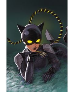 [PREORDER] ABSOLUTE CATWOMAN #2 (ALL IN) LEIRIX VAR