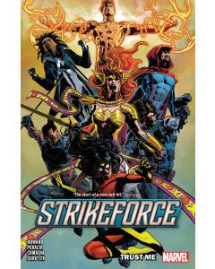 STRIKEFORCE TP VOL 01